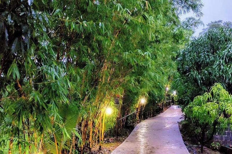 Rajgad Farms Agritourism image