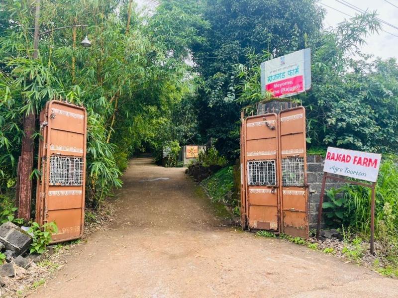 Rajgad Farms Agritourism image