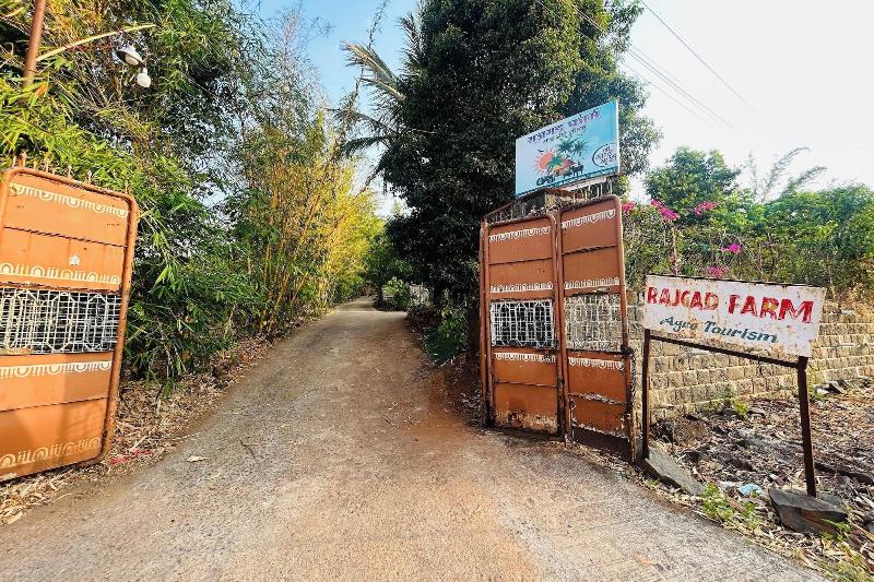Rajgad Farms Agritourism image