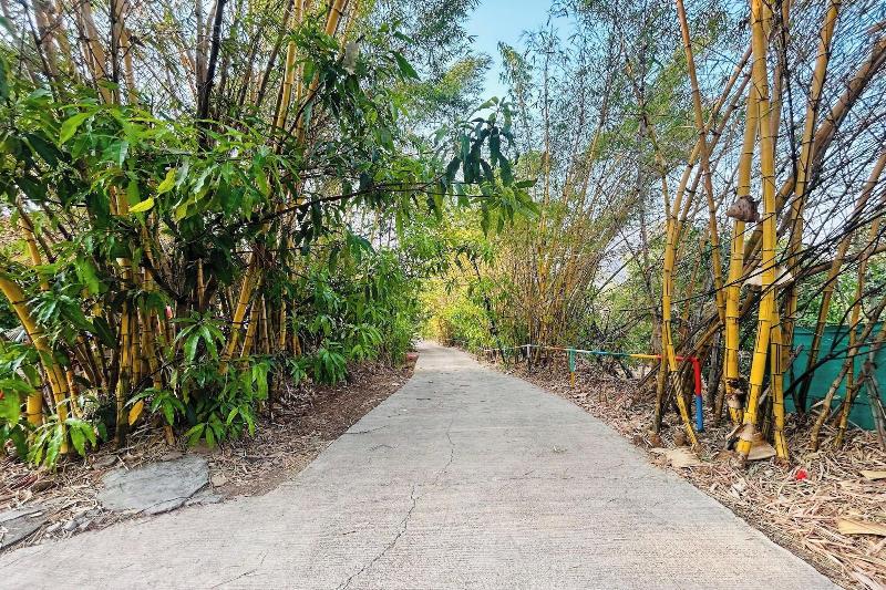 Rajgad Farms Agritourism image