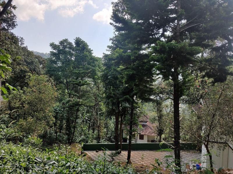 Disha Plantation Resort image