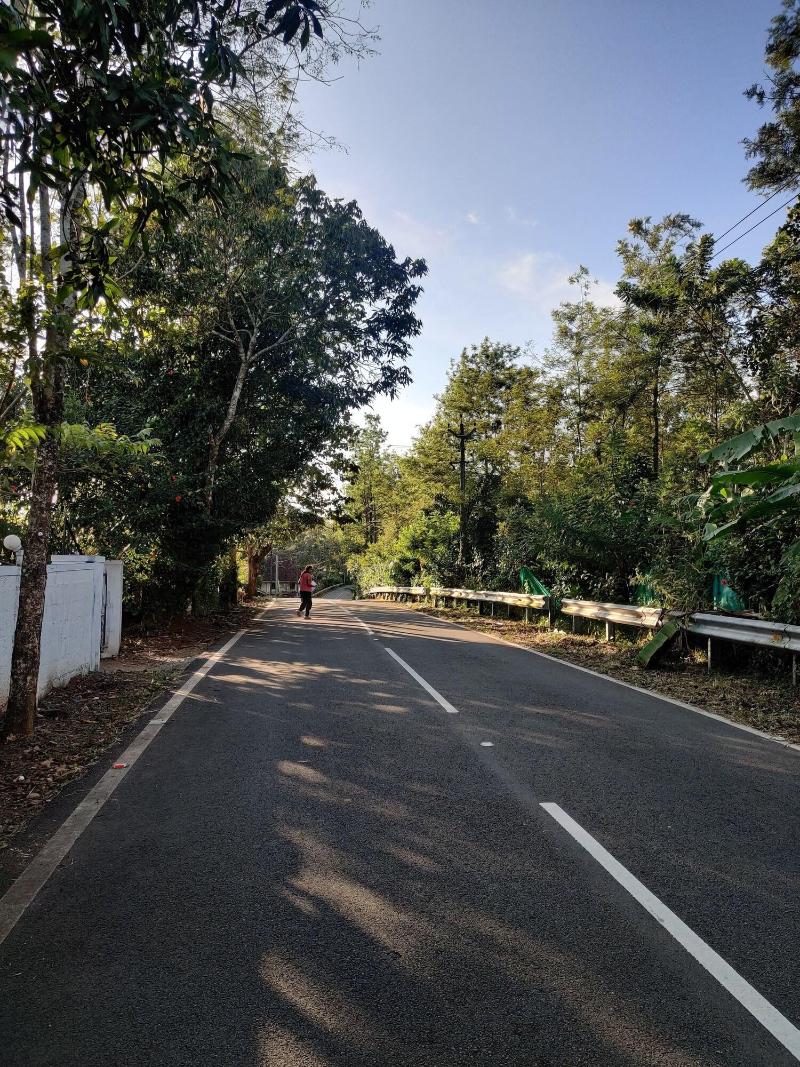 Disha Plantation Resort image