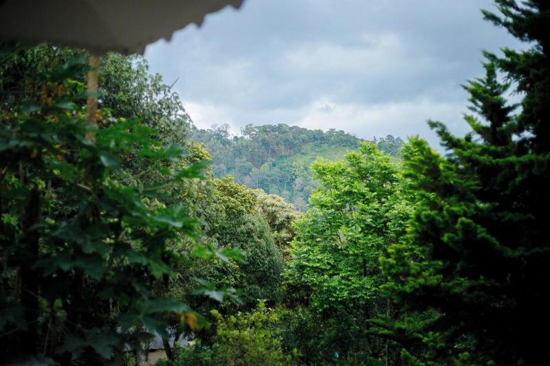 Disha Plantation Resort image