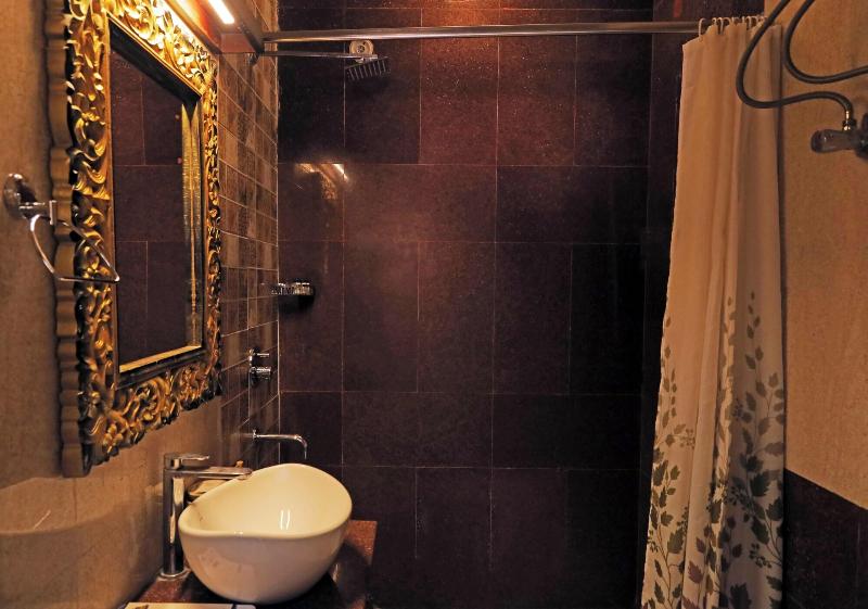 The Neeraj Ganga Heritage Palace image