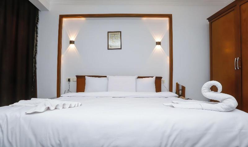 Asser Hotel Pyramids image