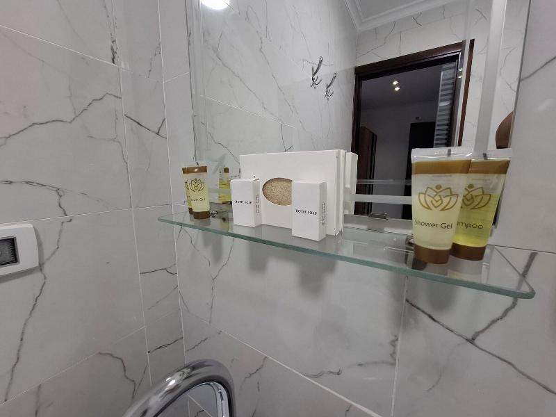 Asser Hotel Pyramids image