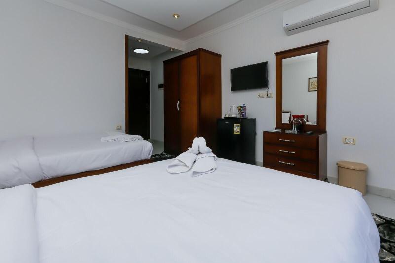 Asser Hotel Pyramids image