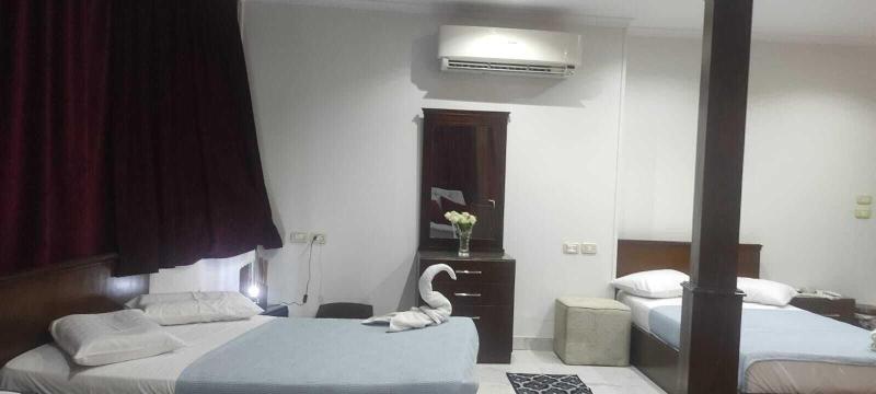 Asser Hotel Pyramids image