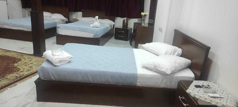 Asser Hotel Pyramids image