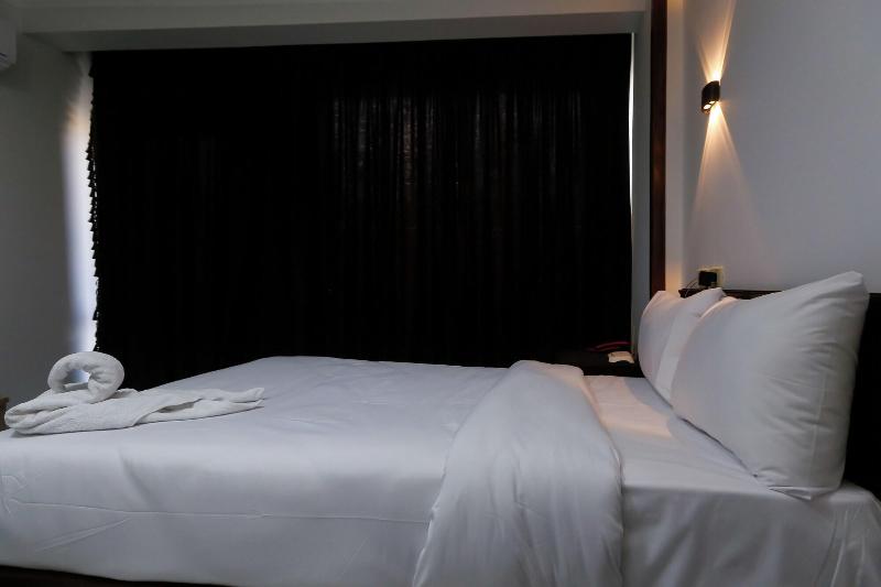 Asser Hotel Pyramids image
