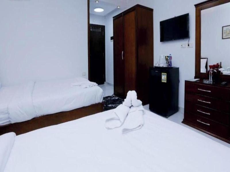 Asser Hotel Pyramids image