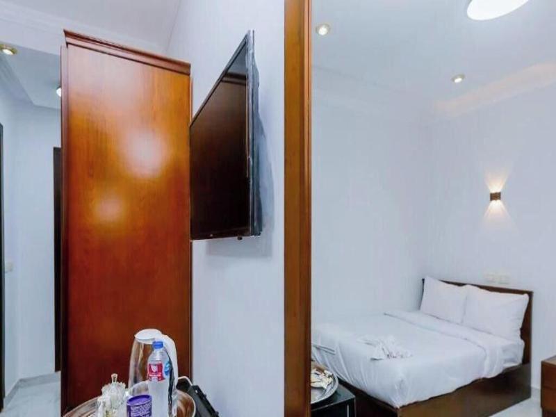 Asser Hotel Pyramids image