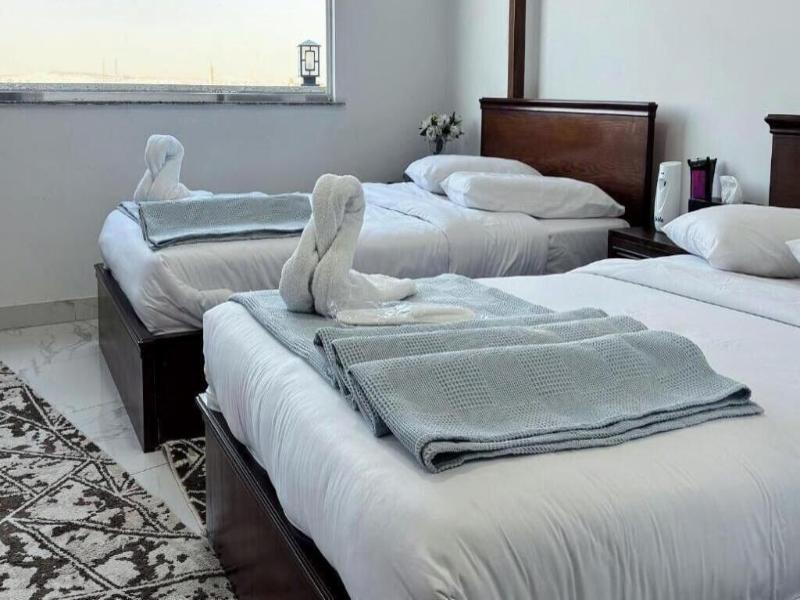 Asser Hotel Pyramids image