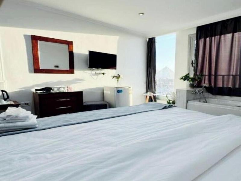 Asser Hotel Pyramids image