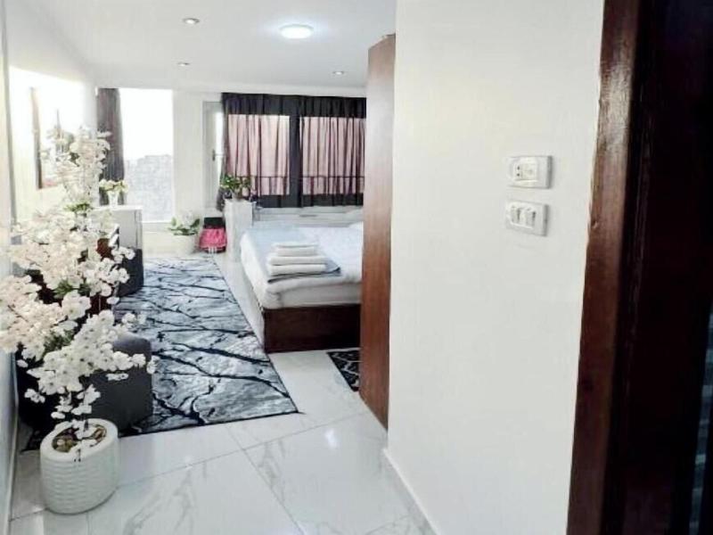 Asser Hotel Pyramids image