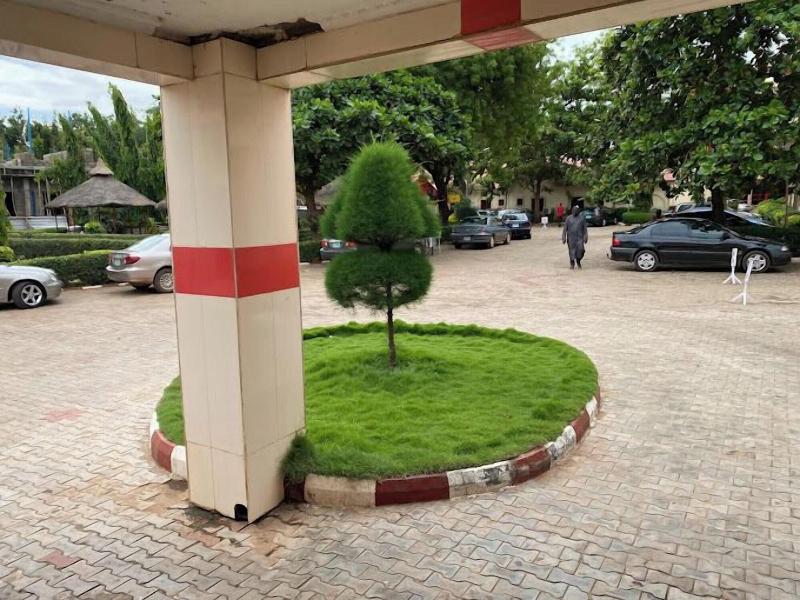 Dankani Guest Palace Hotel image