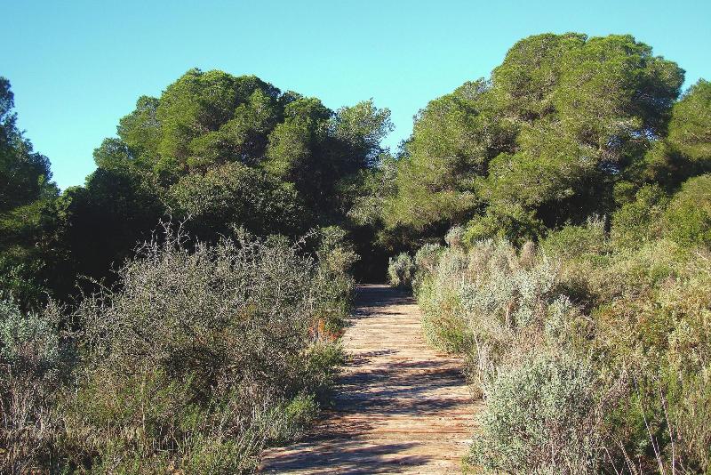 Albufera Dreams Nature Suites image