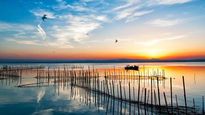 Albufera Dreams Nature Suites image