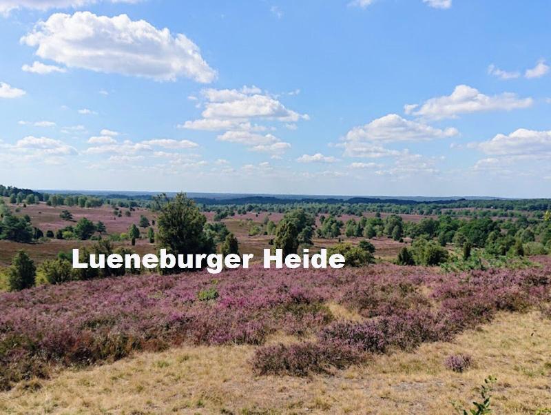 Sterne Luxus Heidesonne image