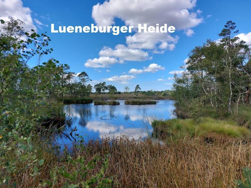 Sterne Luxus Heidesonne image