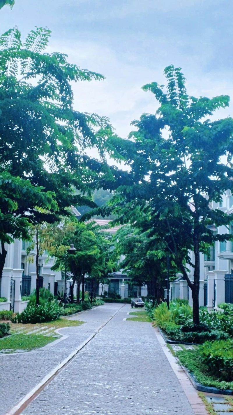 Velvet Village Phu Quoc image
