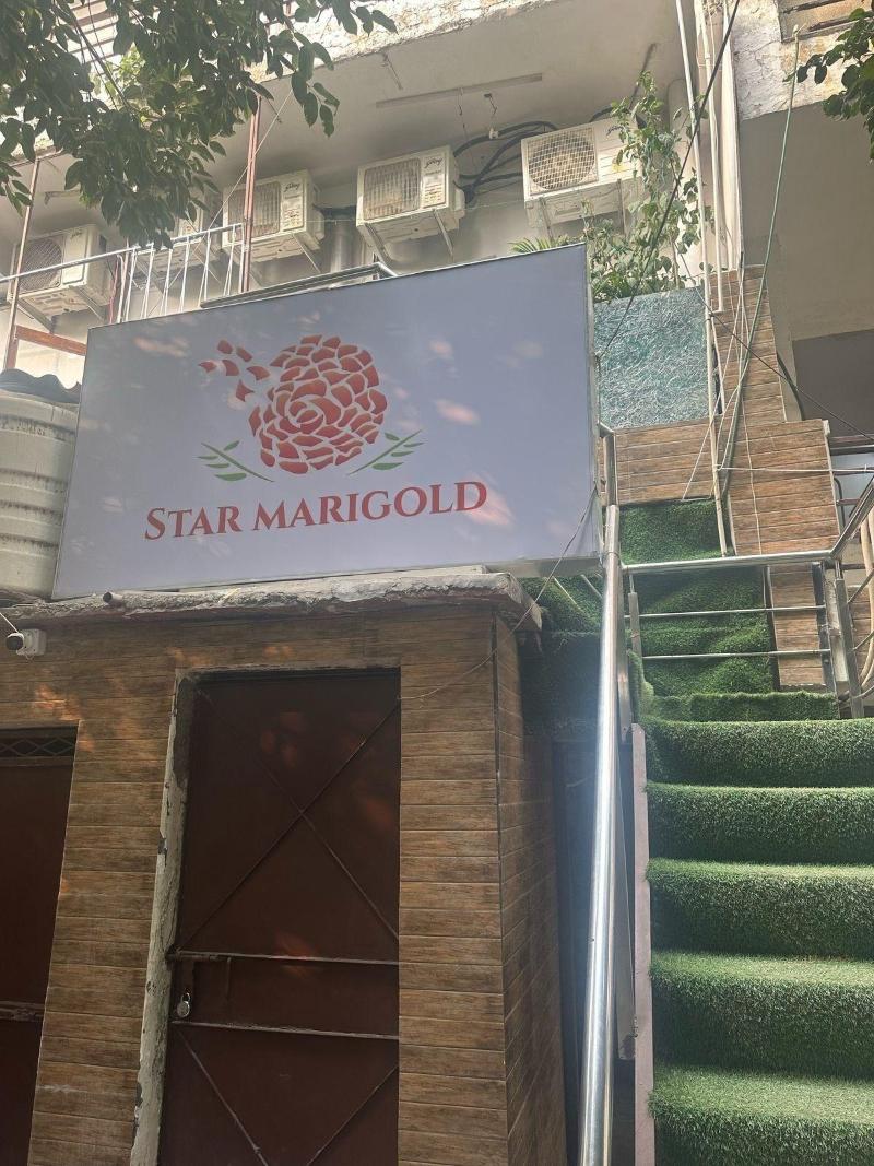 Hotel Star Marigold image