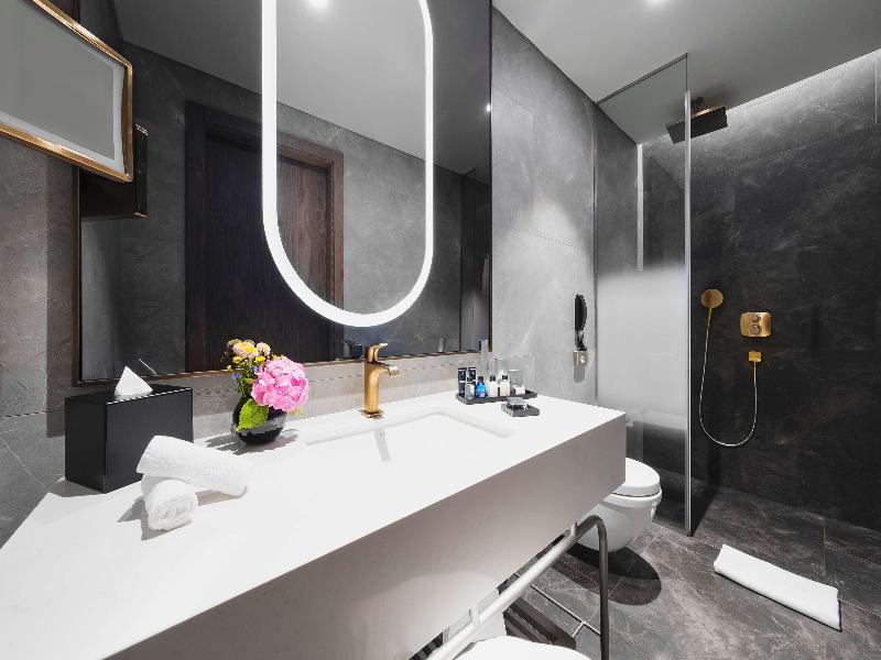 Radisson Collection Hotel Vadistanbul image