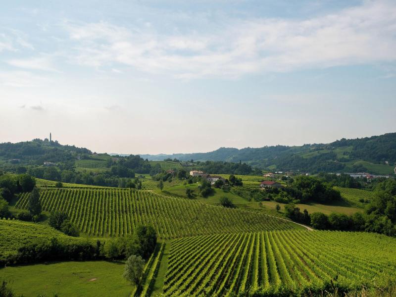 Tenuta Castagnera image
