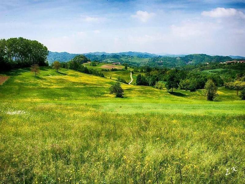 Cv Borgo Vecchio image