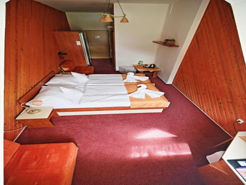 Hotel Skicentrum image