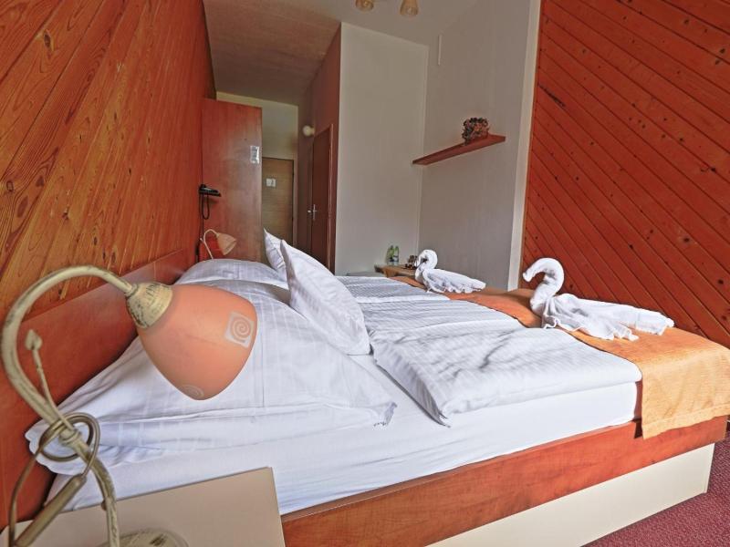 Hotel Skicentrum image