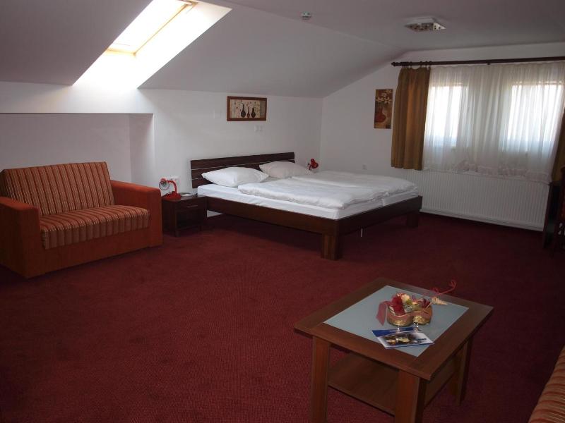 Hotel Orion image