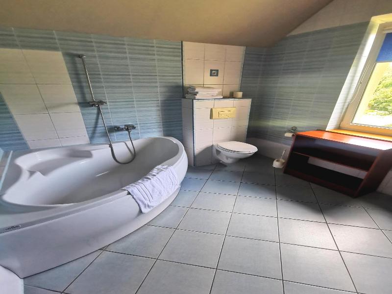 Hotel Pod Wierzba image