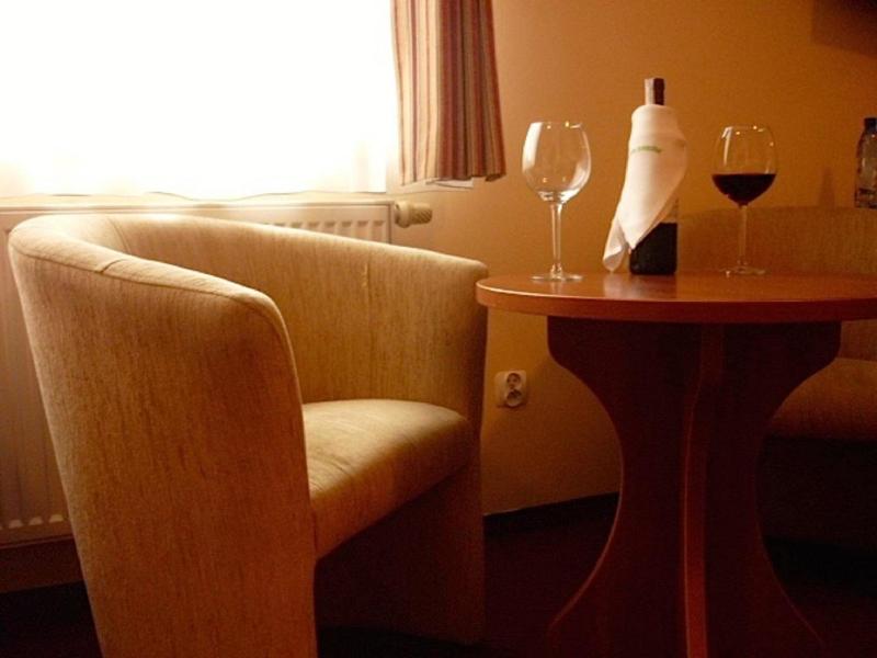 Hotel Pod Wierzba image