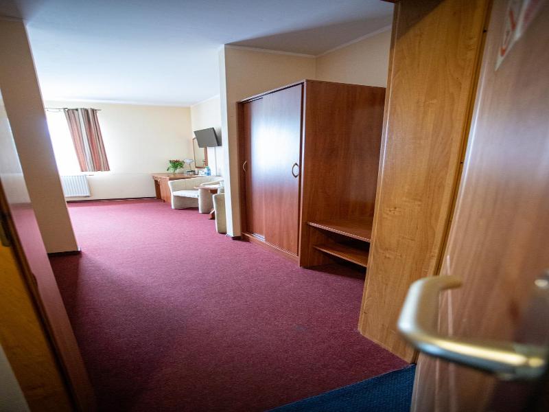 Hotel Pod Wierzba image