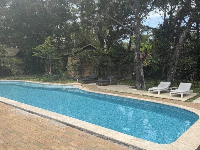 Byron Bay Rainforest Resort image