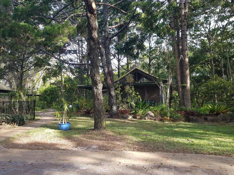 Byron Bay Rainforest Resort image
