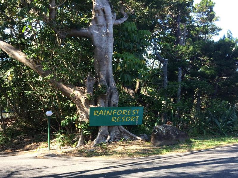 Byron Bay Rainforest Resort image
