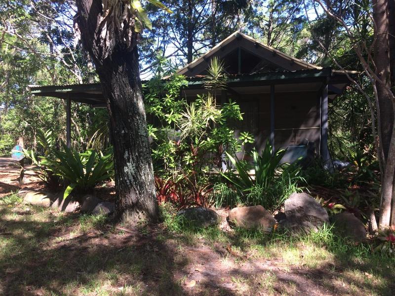 Byron Bay Rainforest Resort image