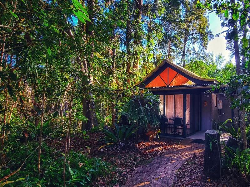 Byron Bay Rainforest Resort image