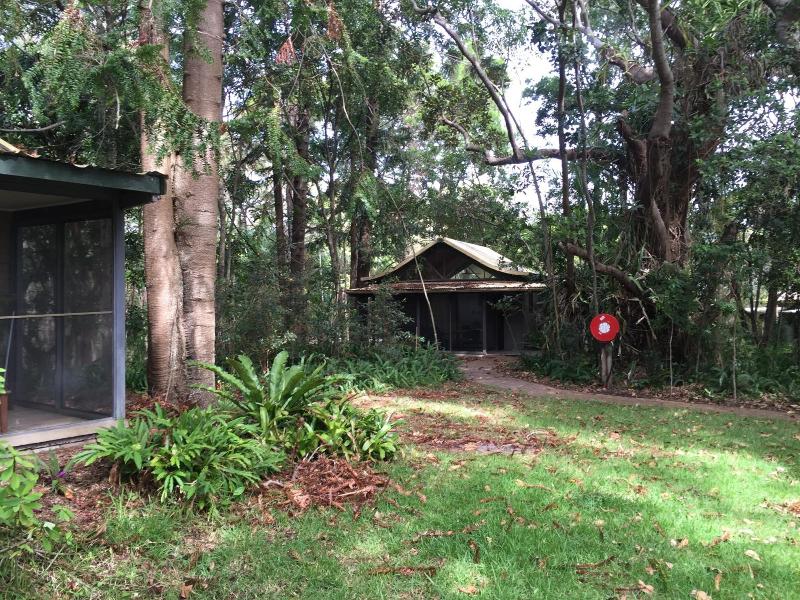Byron Bay Rainforest Resort image
