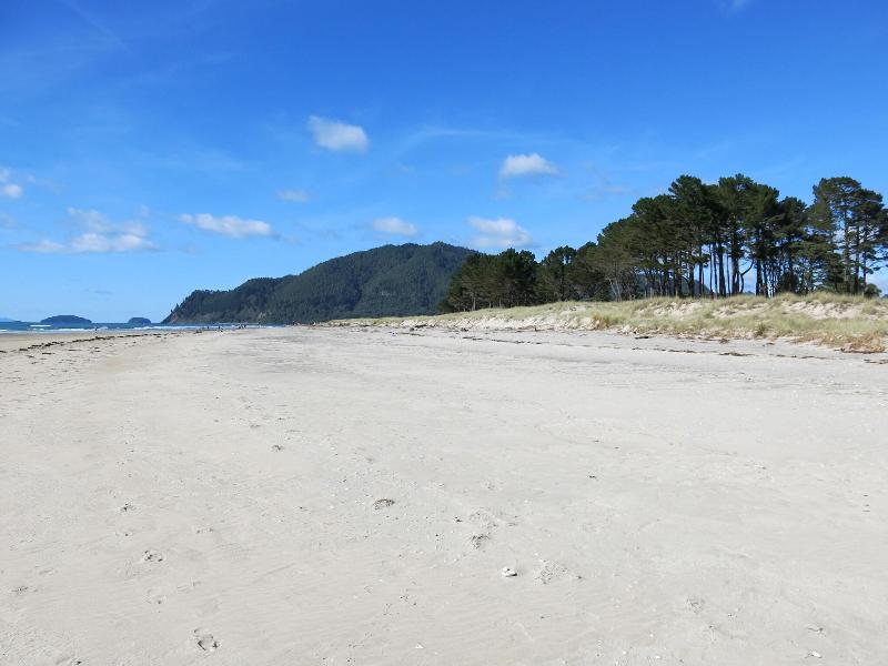 Ocean Breeze Resort Pauanui image