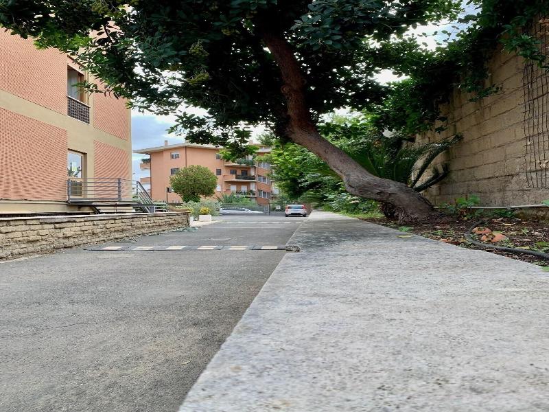 Oasi San Francesco image