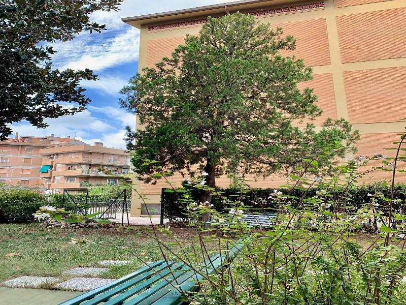 Oasi San Francesco image