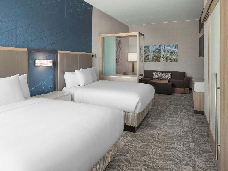 Springhill Suites By Marriott Raleigh Garner