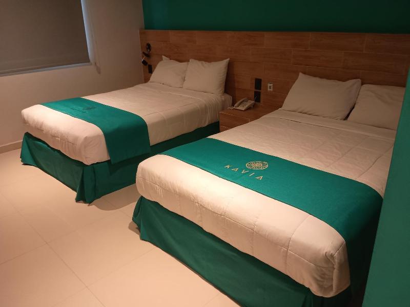 Hotel Kavia Mazatlán image