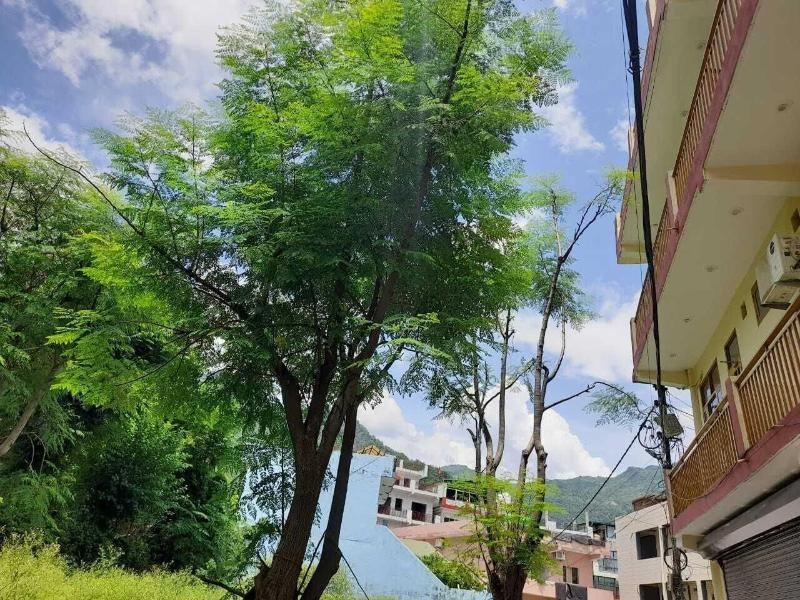 Hotel Krishna Rishikesh image