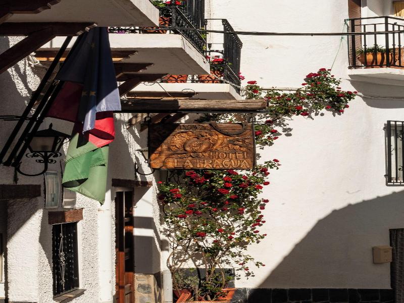 Hotel La Fragua I image