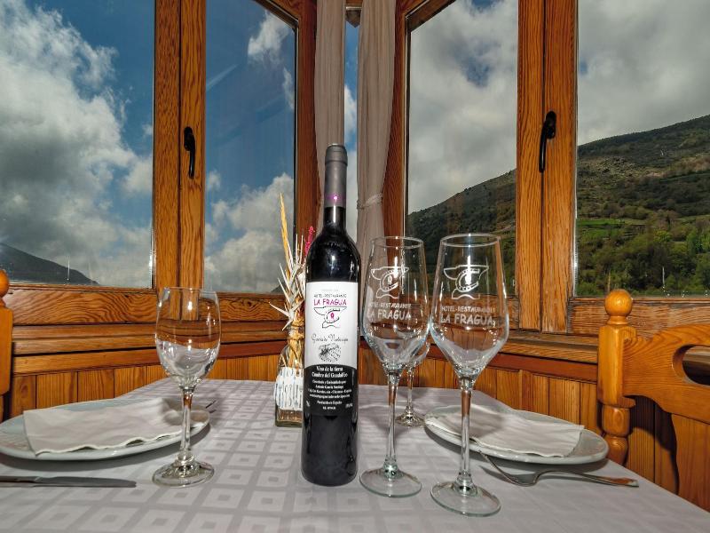 Hotel La Fragua I image