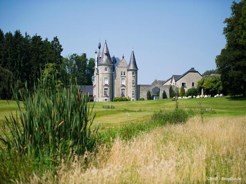 Chateau D Hassonville image